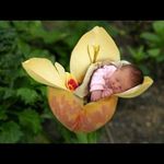 Laurent Martel - @laurent.martel.5811 - Instagram