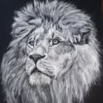 Laurent Mathieu - @laurent_mathieu62550 - Instagram