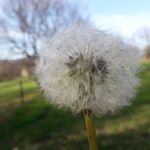 Laurent Mathieu - @laurent.mathieu.3386 - Instagram