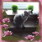 Laurette Leclerc - Facebook