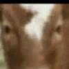 Lynn Laurette - @lynn.laurette - TikTok