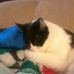 Loretta Olson - Facebook