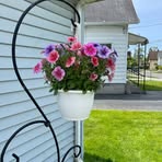 Laurette Ortiz - Facebook