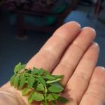 Laurette Francis Williams - @laurette.f.williams - Instagram