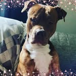Lauri Ahonen - @ahonen242 - Instagram