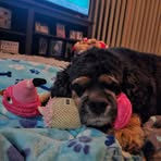 Bailey Laurie - Facebook