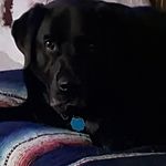 Lauri Bailey - @laurib2112 - Instagram
