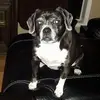 lauriebarnes7 - @lauriebarnes7 - TikTok