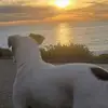 Laurie Barnett - @laurie.barnett0 - TikTok