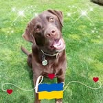 Laurie Pyle Barrett - @laurie.barrett.961 - Instagram