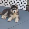 Laurie Baxter - @laurie.baxter0 - TikTok