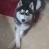 laurie baxter - @laurie.baxter22 - TikTok