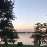 Laurie Berry - @laurie.berry.547 - Instagram