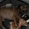 L.Blackwell - @laurie.blackwell7 - TikTok