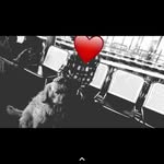 Lauri105 - @lauri_kein_bock - Instagram