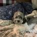 Laurie Briggs - Facebook