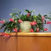 Lauri Brown - @lauri.brown3 - TikTok