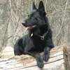 Bryan Lauria - @bryan.lauria - TikTok