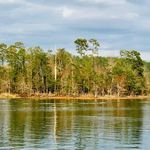 Laurie Burch - @laurie.burch.754 - Instagram