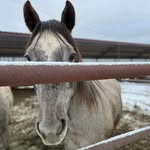 Lauri L. Burns - @llburns57 - Instagram