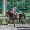 Laurie Burns Nibbles - @laurie.burns.nibb - TikTok