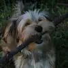 lauriebush778 - @lauriebush778 - TikTok