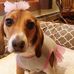 Lauri Taubert Chapman - Facebook