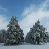 lauriechapman05 - @lauriechapman05 - TikTok