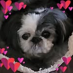 Laurie Cobb - @laurie.cobb.1 - Instagram