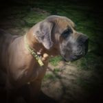 Laurie Ann - @laurie.collins.925 - Instagram