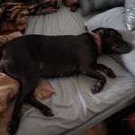 Laurie Collins - @laurie.collins.90857 - Instagram