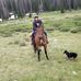 Lauri Conley - Facebook