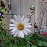 Laurie Conley - @conley_laurie - Instagram