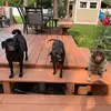 laurieconley33 - @laurieconley33 - TikTok