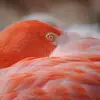 laurinconrad345 - @laurinconrad345 - TikTok