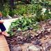 Laurie Cook - Facebook