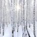 Lauri Brenner Crawford - Facebook