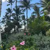𝐥𝐚𝐮𝐫𝐢𝐚𝐧𝐧𝐞🌺 - @laurianneferguson - TikTok