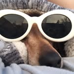 Laurie Fields - @lauriefields3240 - Instagram