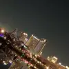 LaurieFields - @lauriefieldsoycetg - TikTok