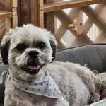 Laurie Floyd - @lauriefloyd68 - Instagram