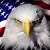 lauriefoley821 - @lauriefoley821 - TikTok