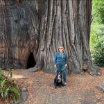Laurie Fox - @laurie_fox - Instagram