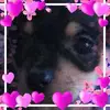 LaurieSkinnerGolden - @laurieskinnergolden - TikTok