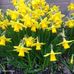 Laurie Holt - Facebook