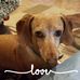 Laurie Holt - Facebook