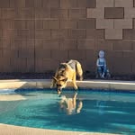 Lauri Huber Botterud - @lauribotterud - Instagram