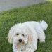 Laurie Huber - Facebook
