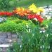 Laurie Huber - Facebook