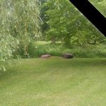 Laurie Huber - @laurie.huber.161 - Instagram